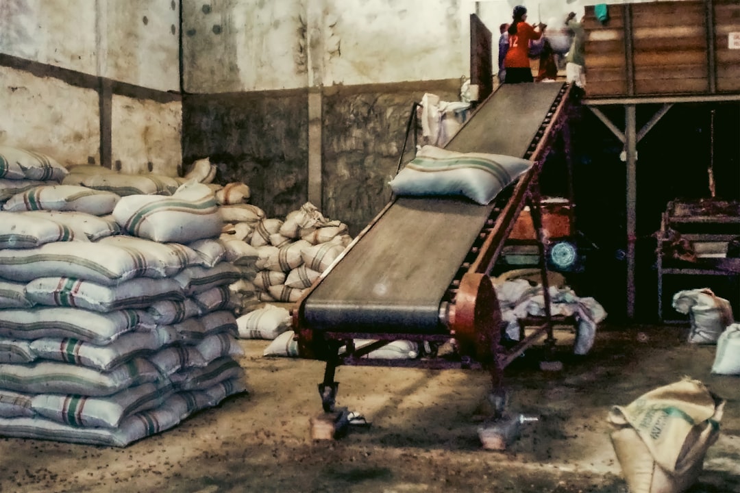 A modern food processing facility showing clean-room standards for halal grain packaging