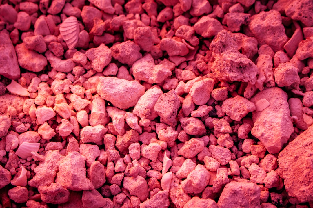 Why Himalayan Pink Salt Licks Are the Best Choice for Ruminant Animals?